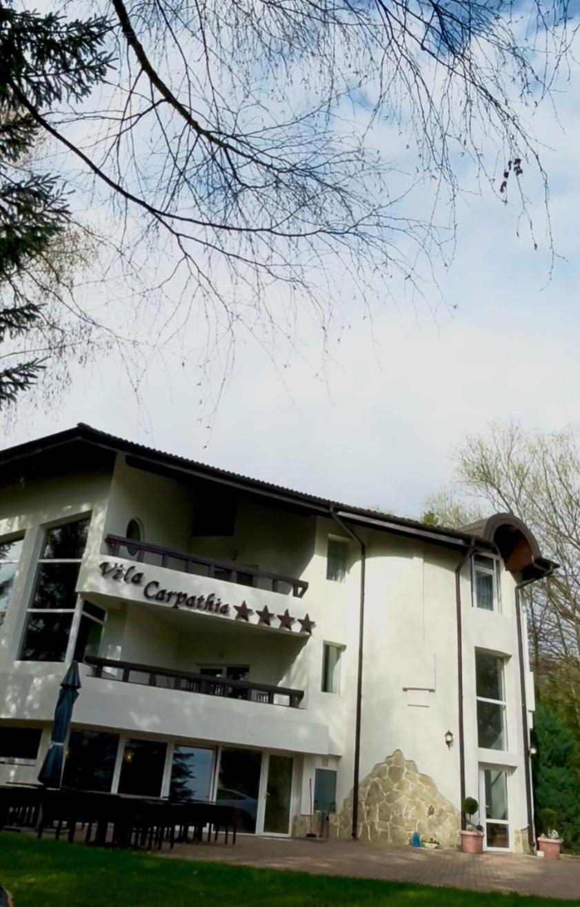 Vila Carpathia Bran (Brasov) Exterior foto