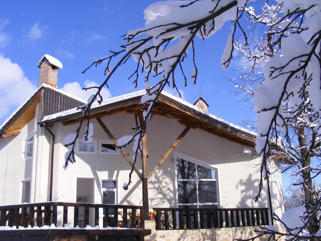 Vila Carpathia Bran (Brasov) Exterior foto